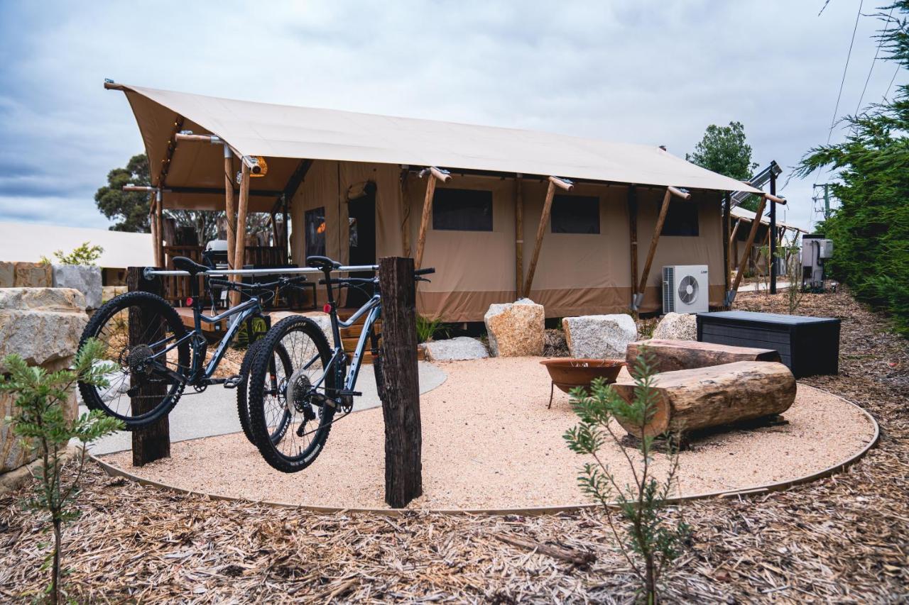 Hotel Glamping 148 Tasmania St Helens Zewnętrze zdjęcie