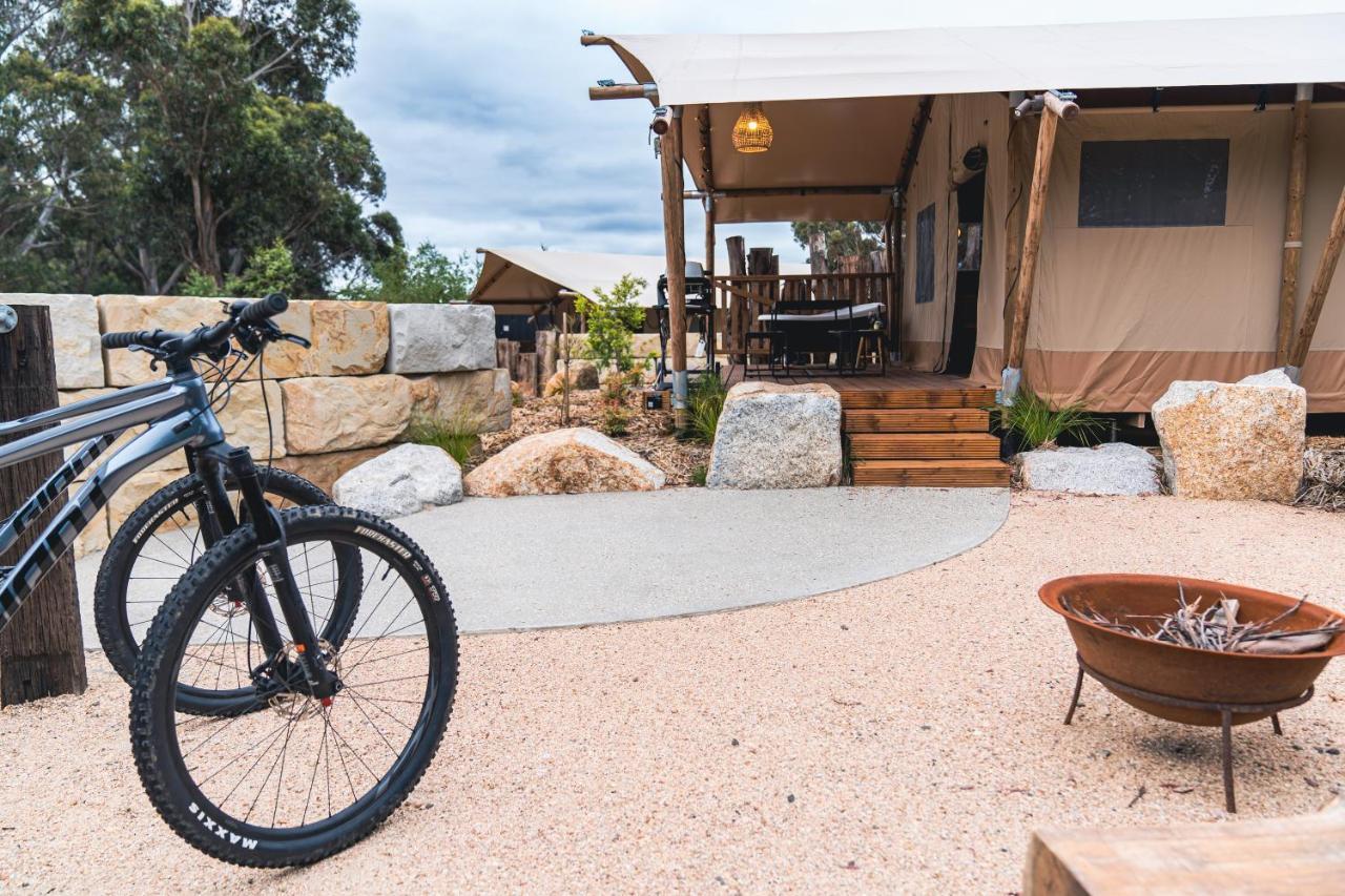 Hotel Glamping 148 Tasmania St Helens Zewnętrze zdjęcie