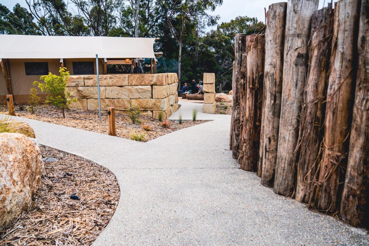 Hotel Glamping 148 Tasmania St Helens Zewnętrze zdjęcie