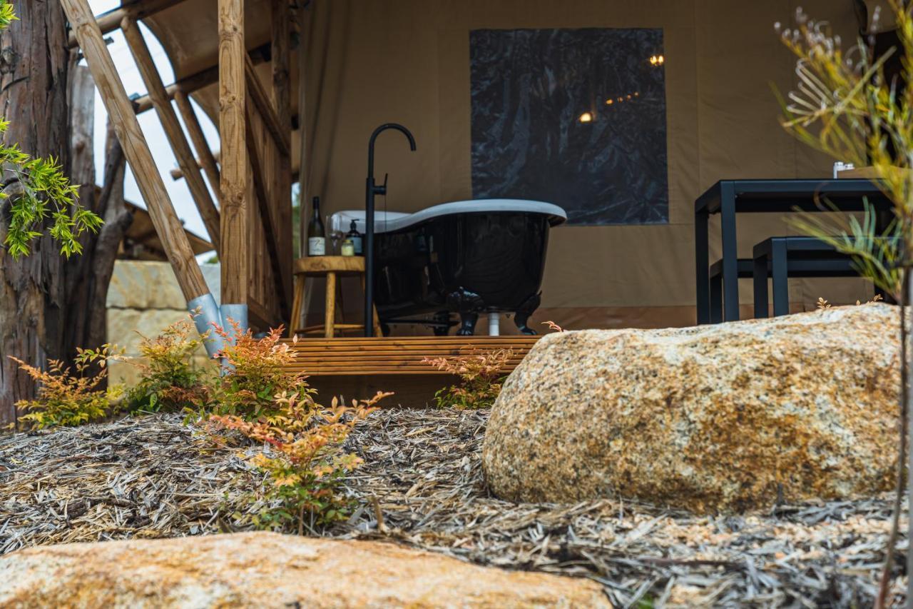 Hotel Glamping 148 Tasmania St Helens Zewnętrze zdjęcie